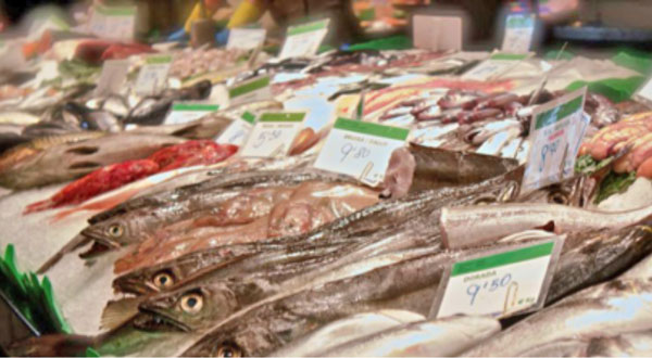 Hijos de Luis Rodríguez, S.A. colabora en la elaboración de un estudio que permitirá adaptar la actividad pesquera a la demanda de los consumidores