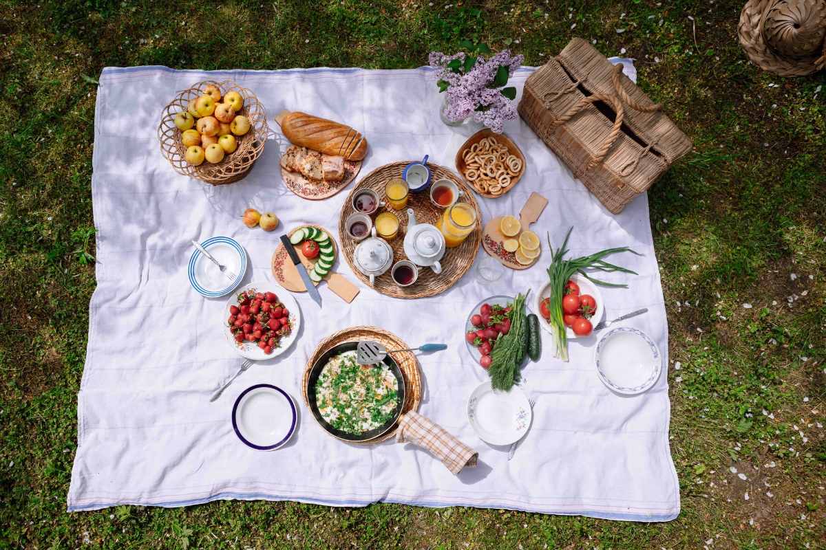 picnic (4)