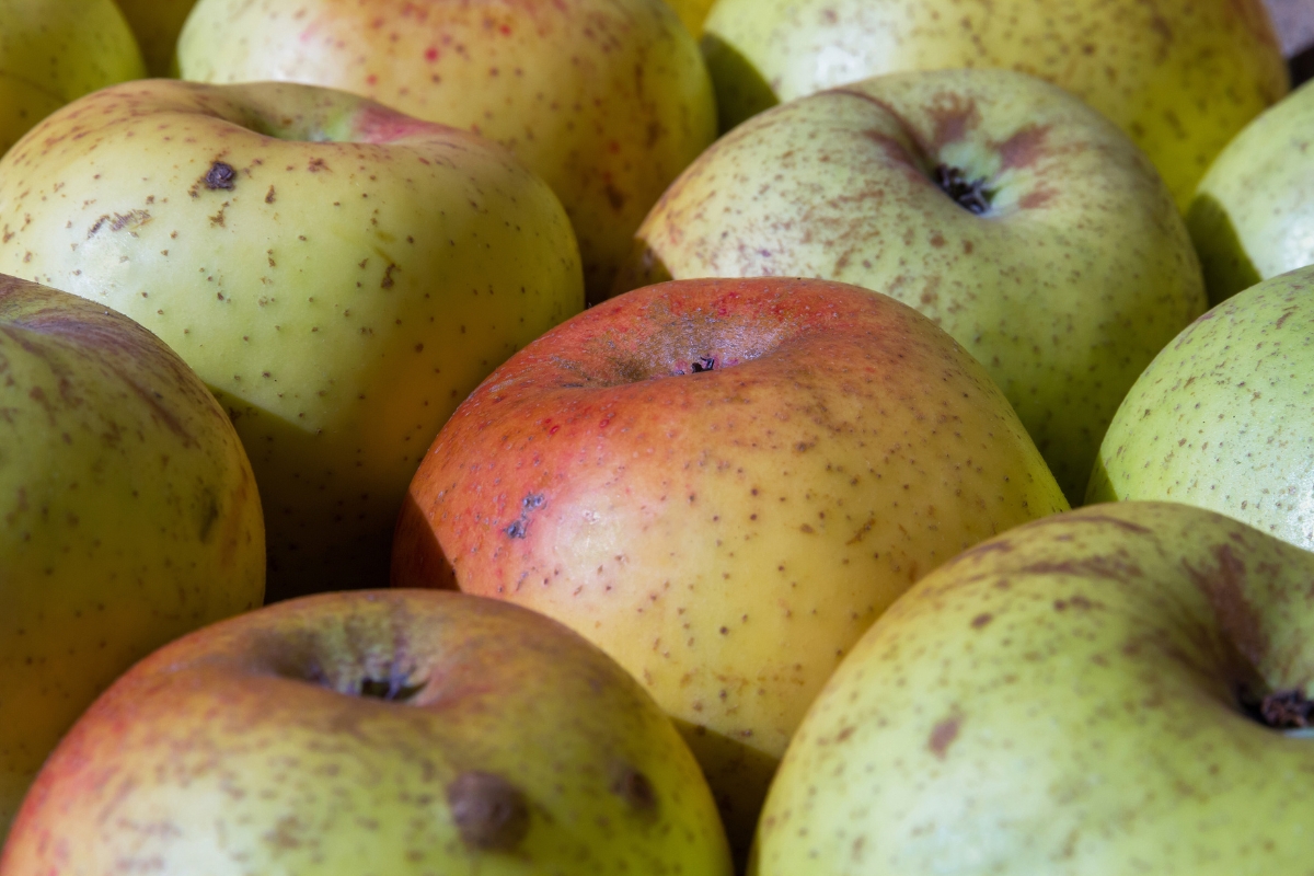 Manzana reineta, la calidad que te sienta bien