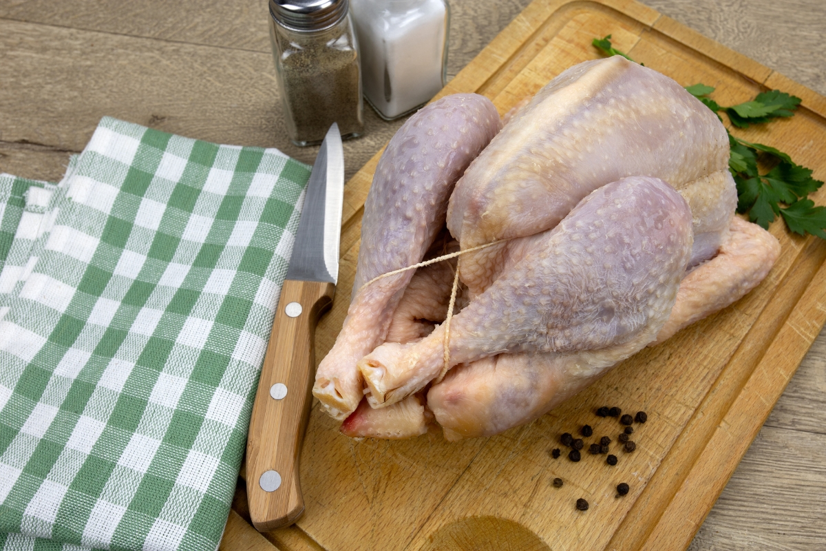 Gallina, la calidad que te sienta bien