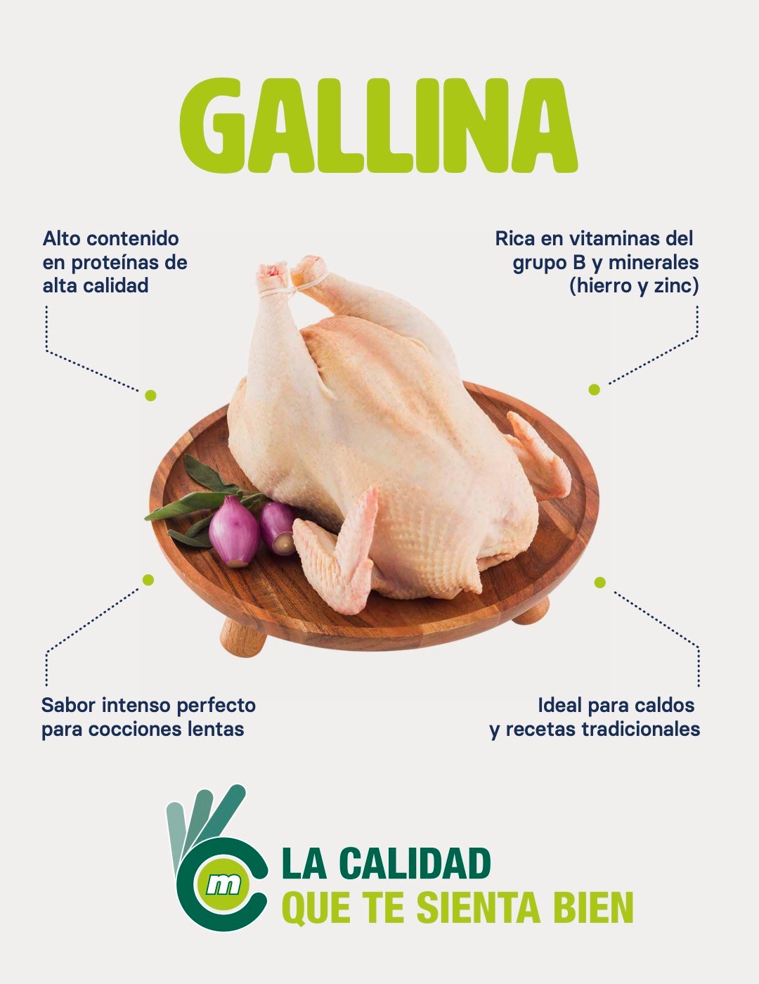 gallina